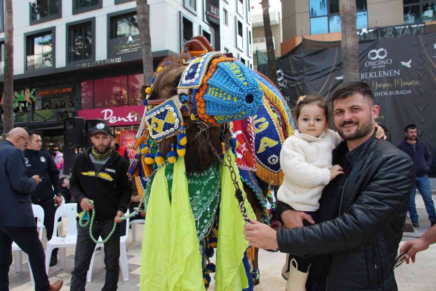 Sel Mağdurları Deve Güreşleri İle Moral Bulmaya Çalışıyor