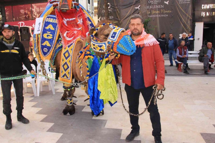 Sel Mağdurları Deve Güreşleri İle Moral Bulmaya Çalışıyor