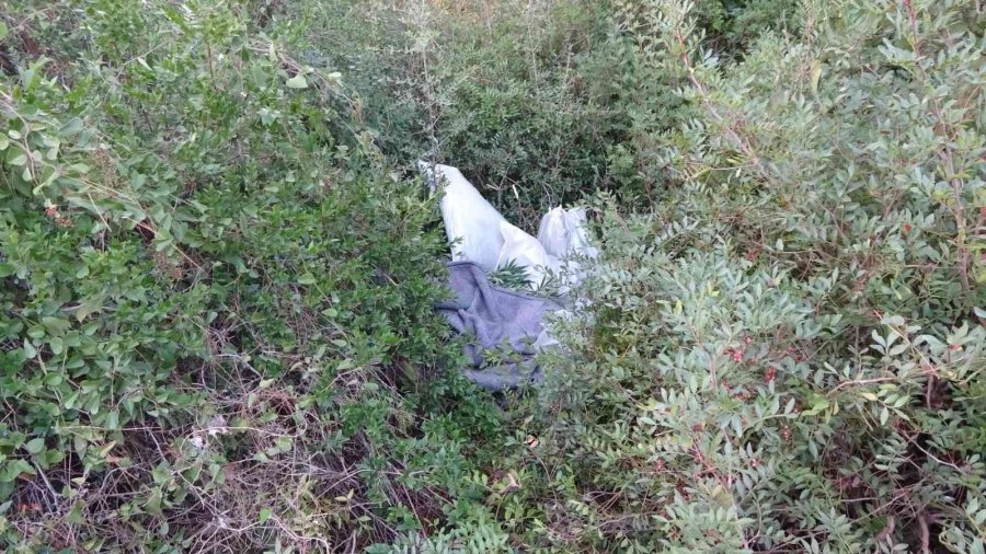 Şüpheli Ölüme Giden Jandarma, Evde Skunk Serasıyla Karşılaştı