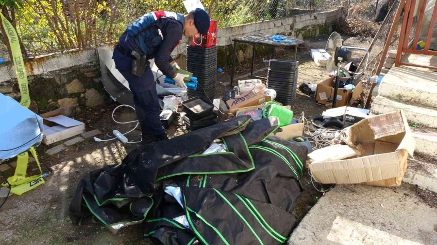 Şüpheli Ölüme Giden Jandarma, Evde Skunk Serasıyla Karşılaştı