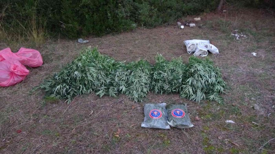 Şüpheli Ölüme Giden Jandarma, Evde Skunk Serasıyla Karşılaştı