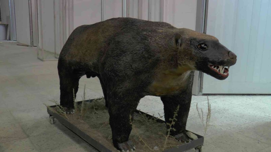 7,5 Milyon Yıllık Tarihi Ayaklandırdılar