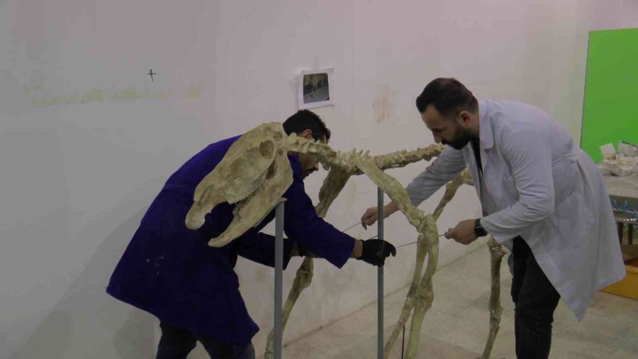 7,5 Milyon Yıllık Tarihi Ayaklandırdılar