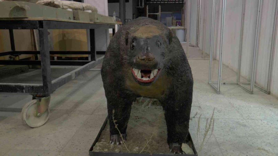 7,5 Milyon Yıllık Tarihi Ayaklandırdılar