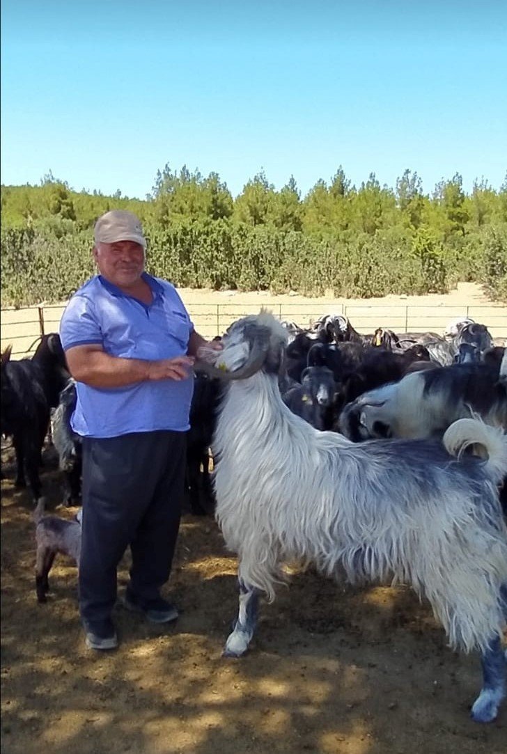 Antalya’da Köprü Demirine Çarpan Otomobilde Babanın Ardından, Oğul Da Hayatını Kaybetti