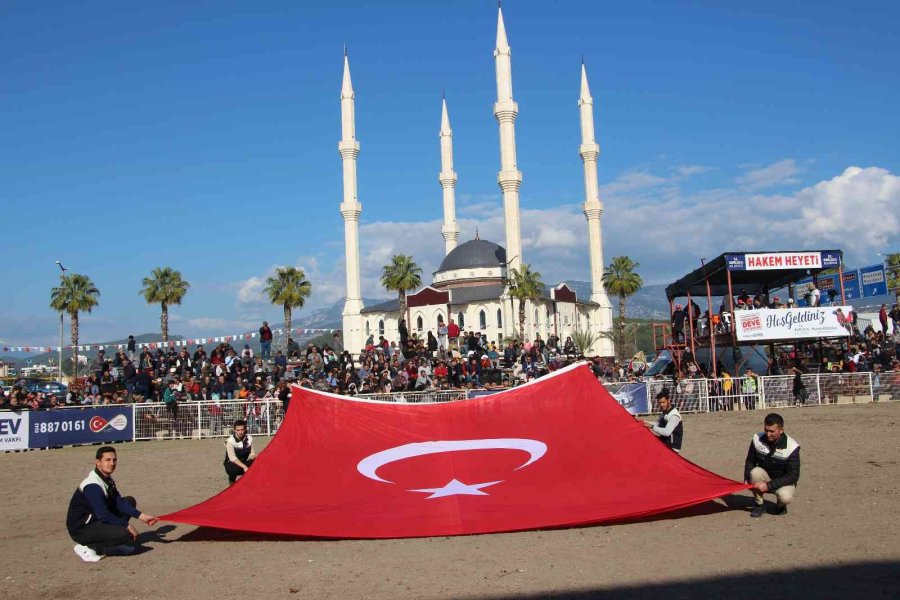 Develer Güreşti, Sahipleri Kavga Etti