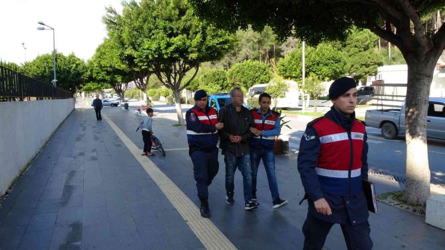 Domuz Eti Çalan Almanya Vatandaşı Sahte Plakadan Yakayı Ele Verdi