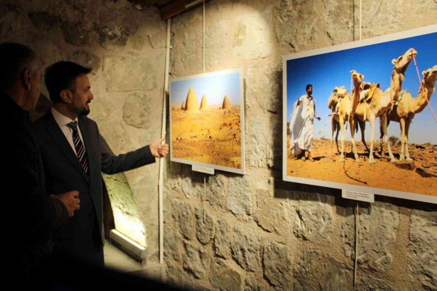 Doğa, Bilim Ve Kültür Temalı Sergi Açıldı