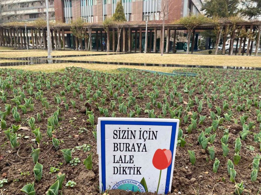 Başkan Büyükkılıç: “daha Yeşil Ve Daha Yaşanabilir Bir Kayseri İçin Çalışıyoruz”