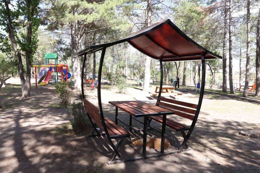 Başkan Büyükkılıç: “daha Yeşil Ve Daha Yaşanabilir Bir Kayseri İçin Çalışıyoruz”