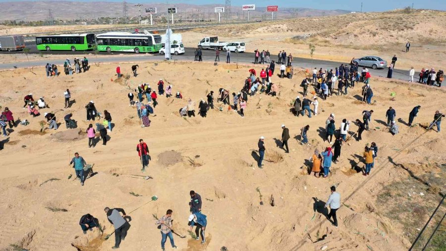 Başkan Büyükkılıç: “daha Yeşil Ve Daha Yaşanabilir Bir Kayseri İçin Çalışıyoruz”