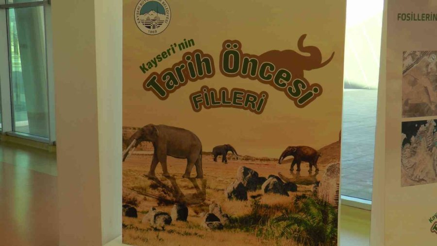7,5 Milyon Yıllık Tarih Kayseri’de Sergileniyor