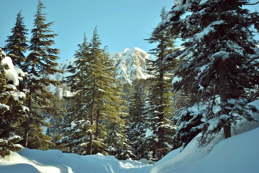 Kayseri’de Ulusal Öneme Sahip Sulak Alanlar
