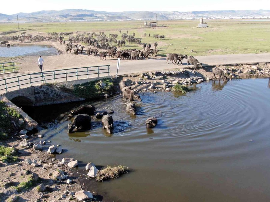 Kayseri’de Ulusal Öneme Sahip Sulak Alanlar