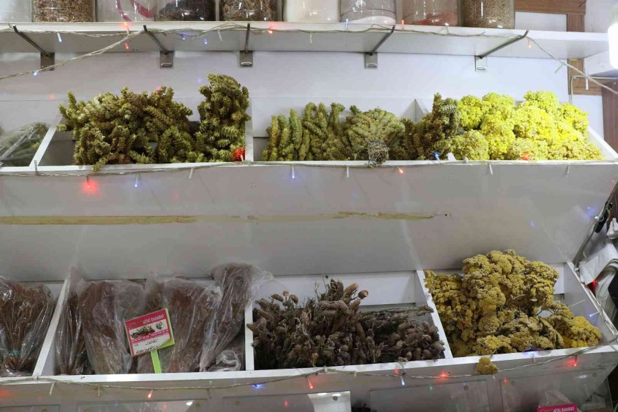 Hastalık Çoğaldı, Bitkilere Rağbet Arttı: En Çok Zencefil, Zerdeçal Ve Tarçın Tercih Ediliyor