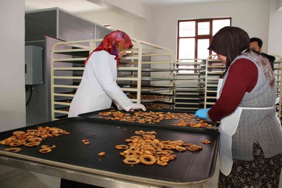 Akşehir Belediyesinden Hanımlara Meyve Kurutma Tesisi