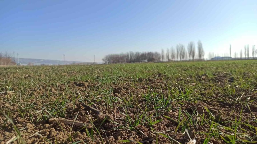 Son 20 Yılın En Kurak Kışı Yaşanan Eskişehir’de Çiftçi Yağış Bekliyor