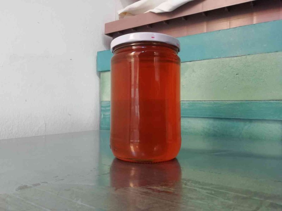 Arıcılar Bu Yıl ‘1 Santim Kar, 1 Kilo Bal’ Diyemedi