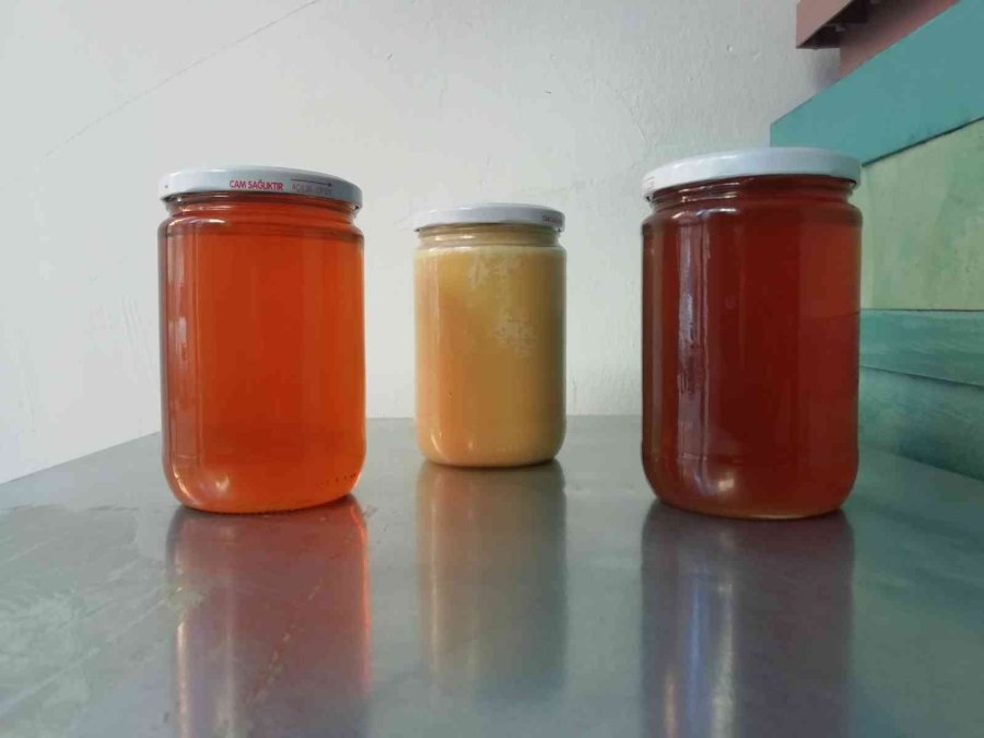 Arıcılar Bu Yıl ‘1 Santim Kar, 1 Kilo Bal’ Diyemedi