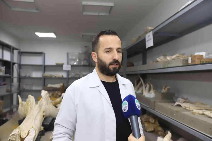 Büyükşehir İle 7,5 Milyon Yıllık Fosiller Gün Yüzüne Çıkıyor