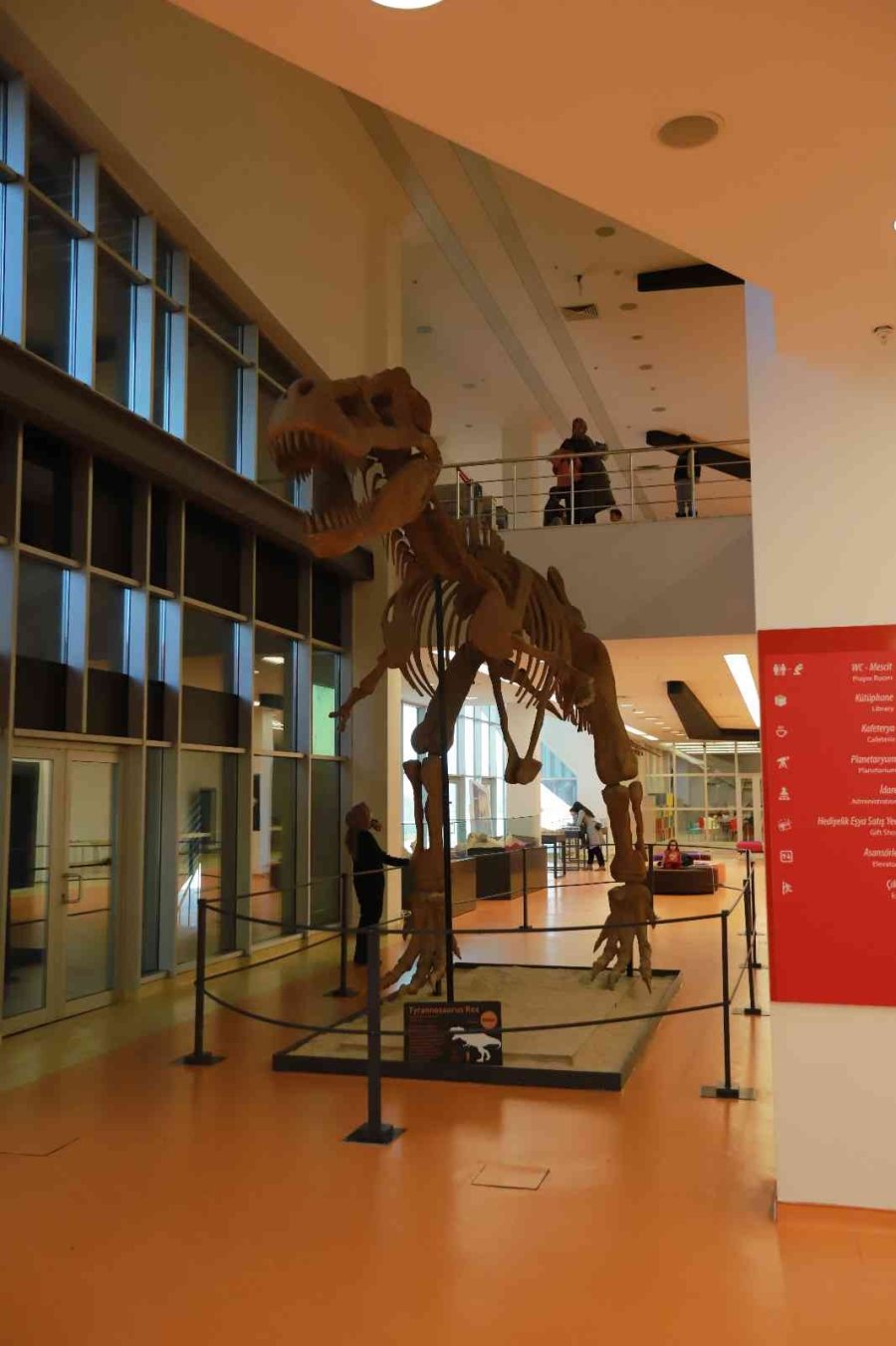 Büyükşehir İle 7,5 Milyon Yıllık Fosiller Gün Yüzüne Çıkıyor