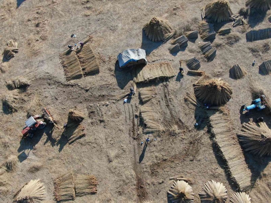 Gelmeyen Kış Kamışı Da Vurdu