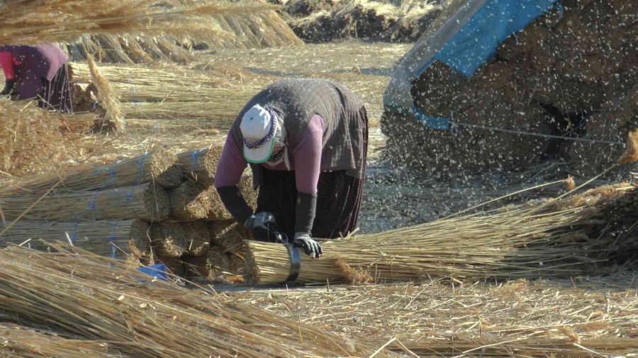 Gelmeyen Kış Kamışı Da Vurdu