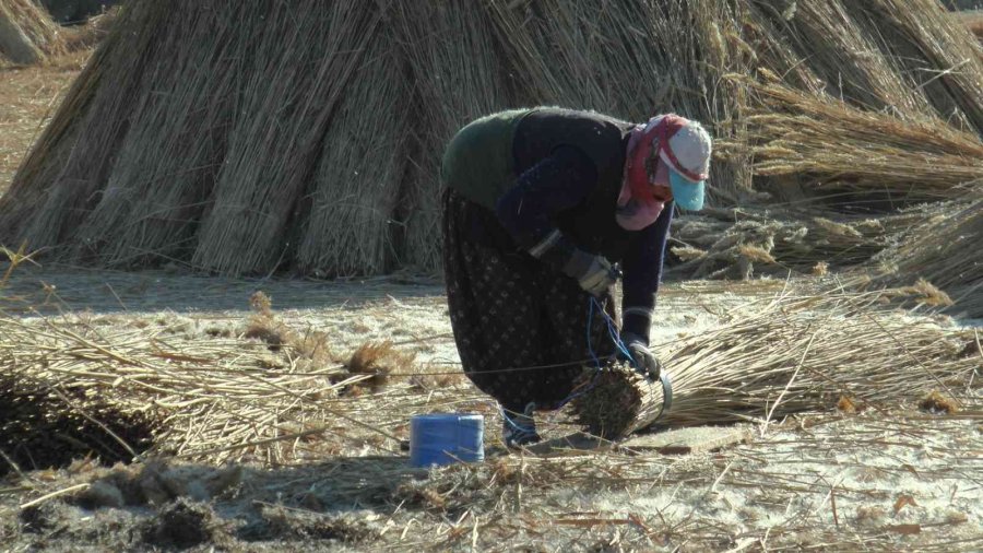 Gelmeyen Kış Kamışı Da Vurdu
