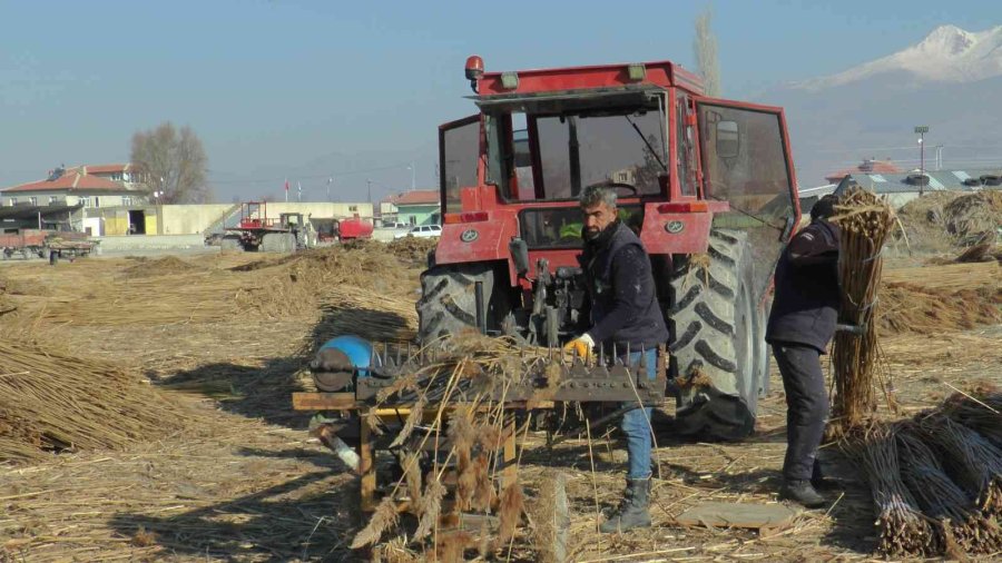 Gelmeyen Kış Kamışı Da Vurdu