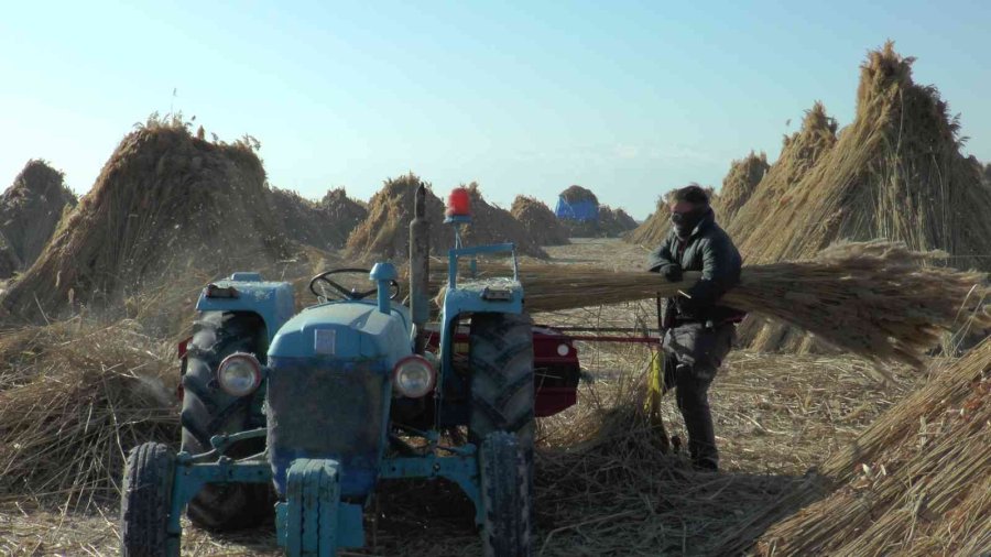 Gelmeyen Kış Kamışı Da Vurdu