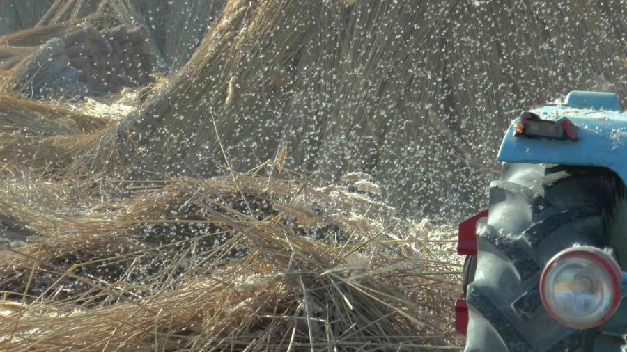 Gelmeyen Kış Kamışı Da Vurdu