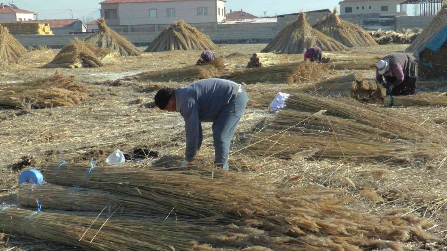 Gelmeyen Kış Kamışı Da Vurdu