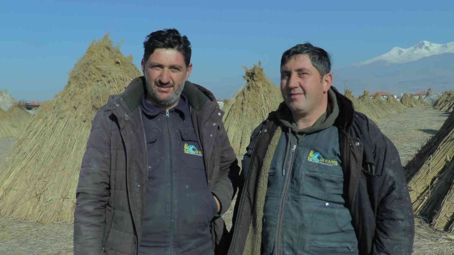 Gelmeyen Kış Kamışı Da Vurdu