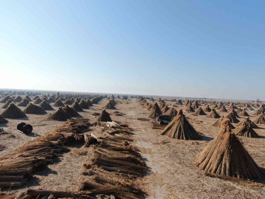 Gelmeyen Kış Kamışı Da Vurdu