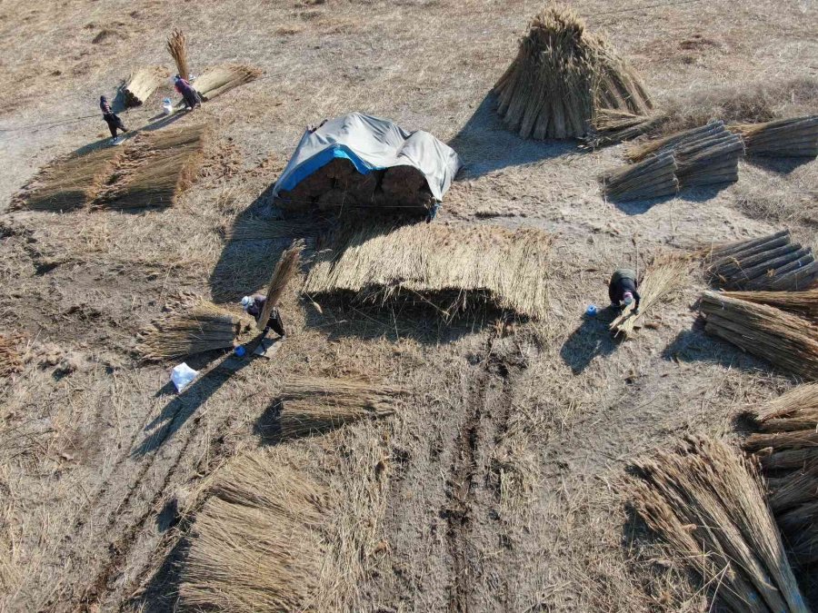 Gelmeyen Kış Kamışı Da Vurdu