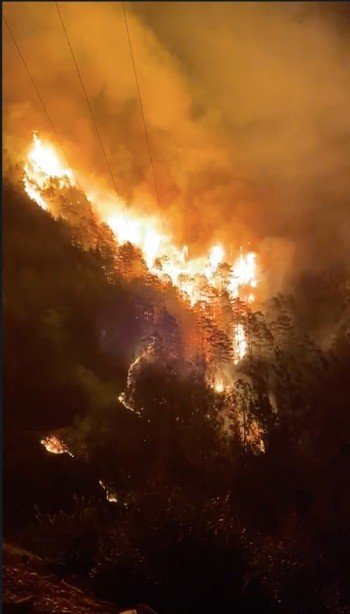 Alanya’da Orman Yangını