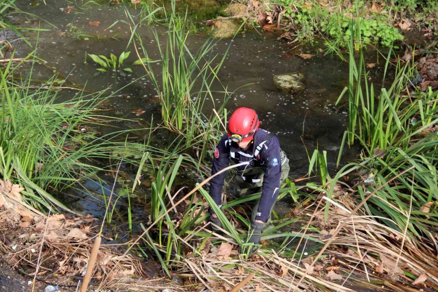 Derede Mahsur Kalan Kedi, İtfaiyeye Zor Anlar Yaşattı