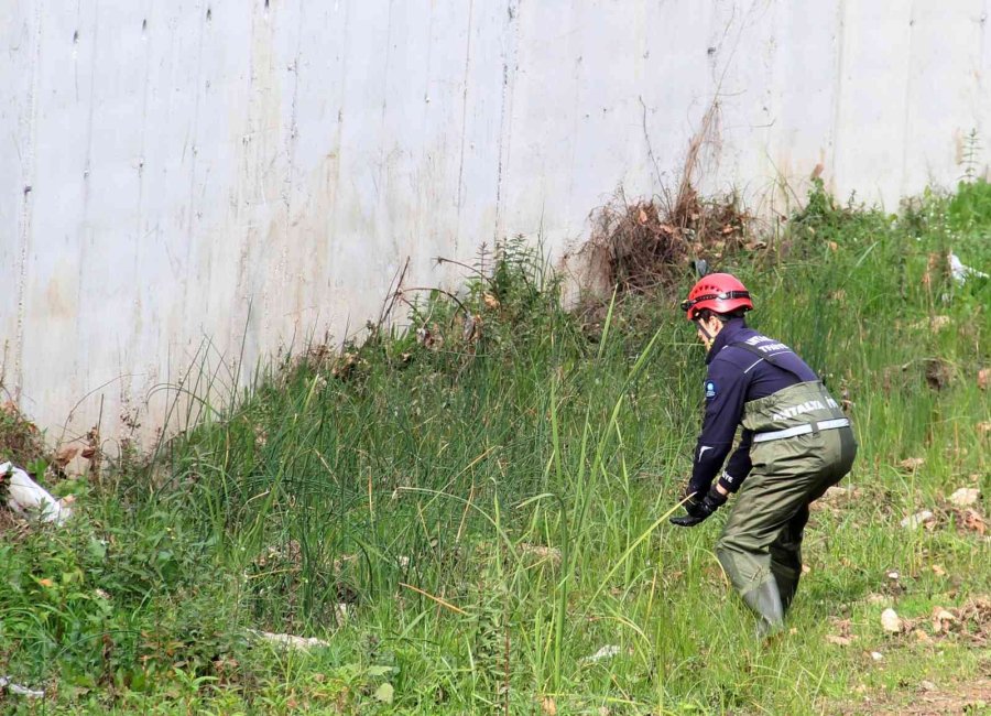 Derede Mahsur Kalan Kedi, İtfaiyeye Zor Anlar Yaşattı