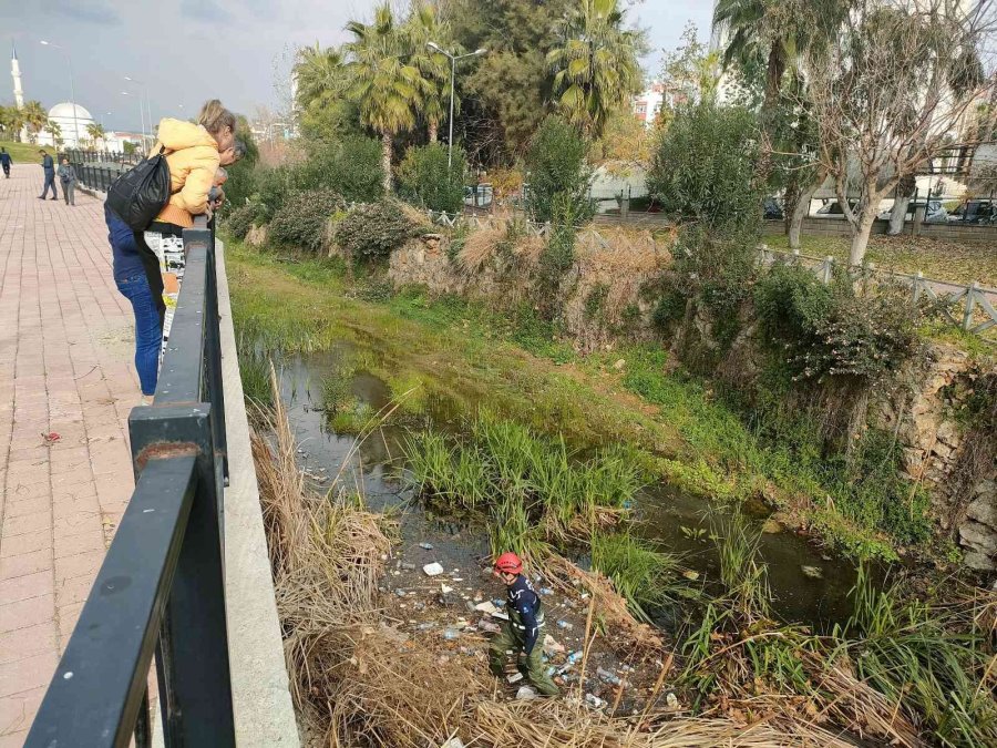 Derede Mahsur Kalan Kedi, İtfaiyeye Zor Anlar Yaşattı