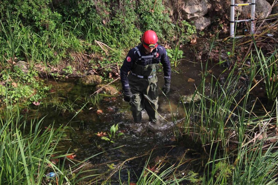 Derede Mahsur Kalan Kedi, İtfaiyeye Zor Anlar Yaşattı