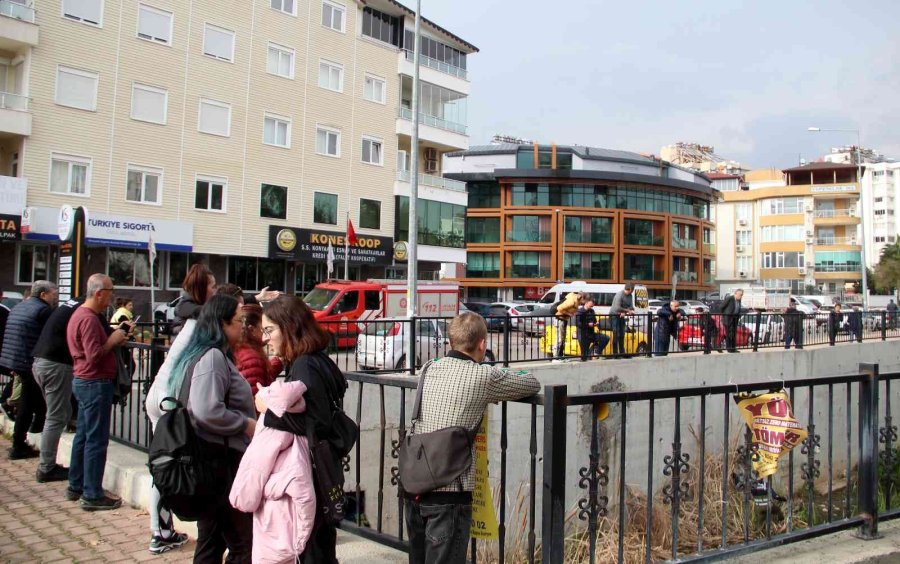 Derede Mahsur Kalan Kedi, İtfaiyeye Zor Anlar Yaşattı