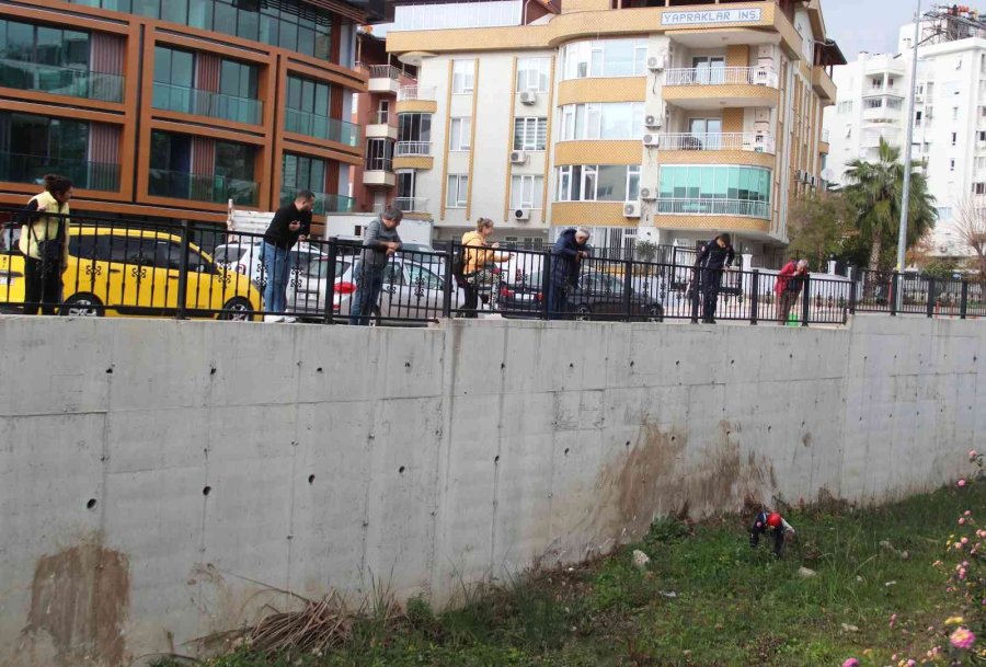 Derede Mahsur Kalan Kedi, İtfaiyeye Zor Anlar Yaşattı