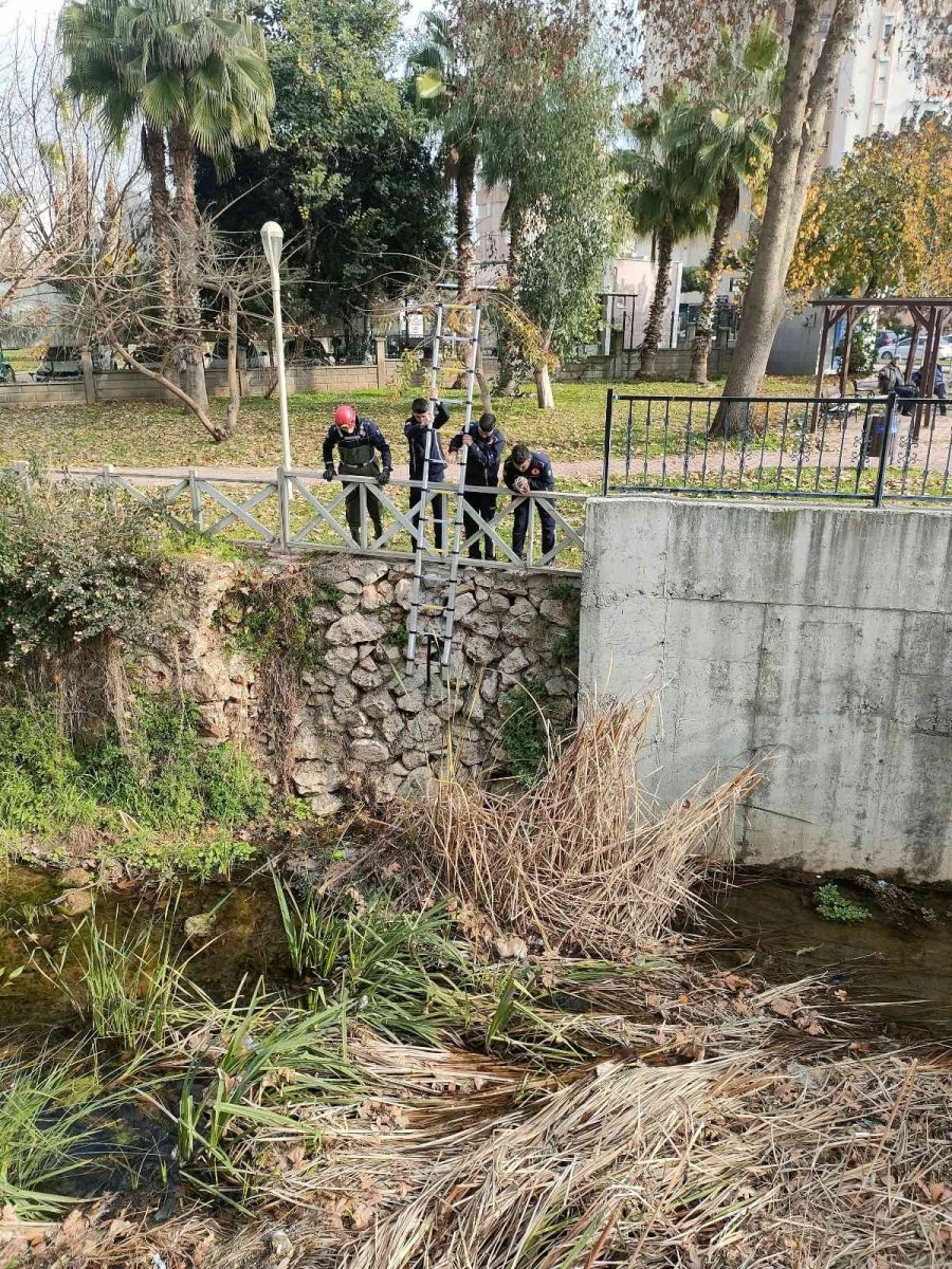 Derede Mahsur Kalan Kedi, İtfaiyeye Zor Anlar Yaşattı