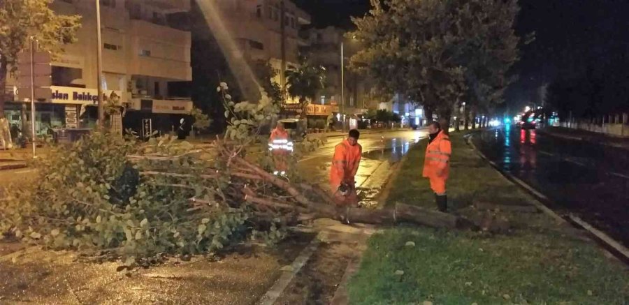 Büyükşehir, Fırtınada 136 Vakaya Müdahale Etti
