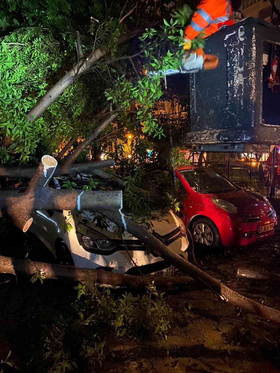 Büyükşehir, Fırtınada 136 Vakaya Müdahale Etti