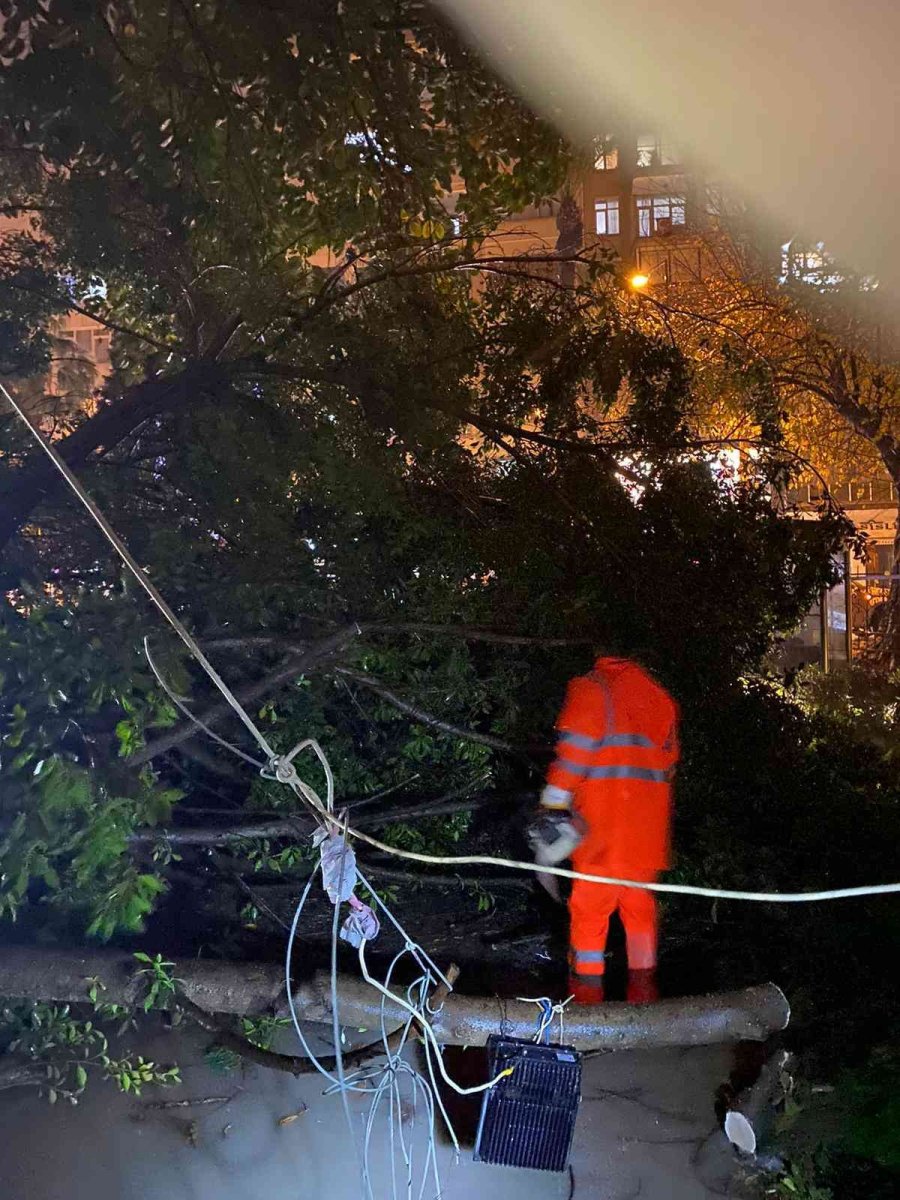 Büyükşehir, Fırtınada 136 Vakaya Müdahale Etti