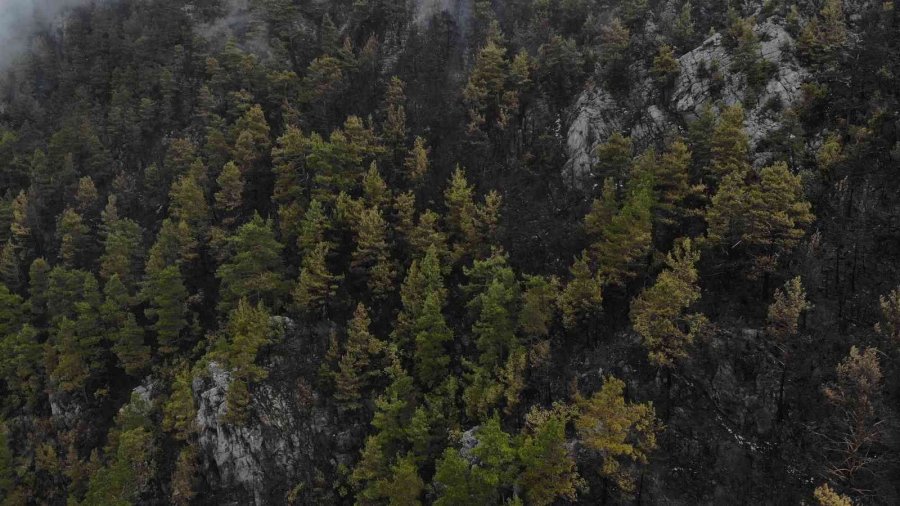 Alanya’da Yanan Ormanlık Alan Havadan Görüntülendi