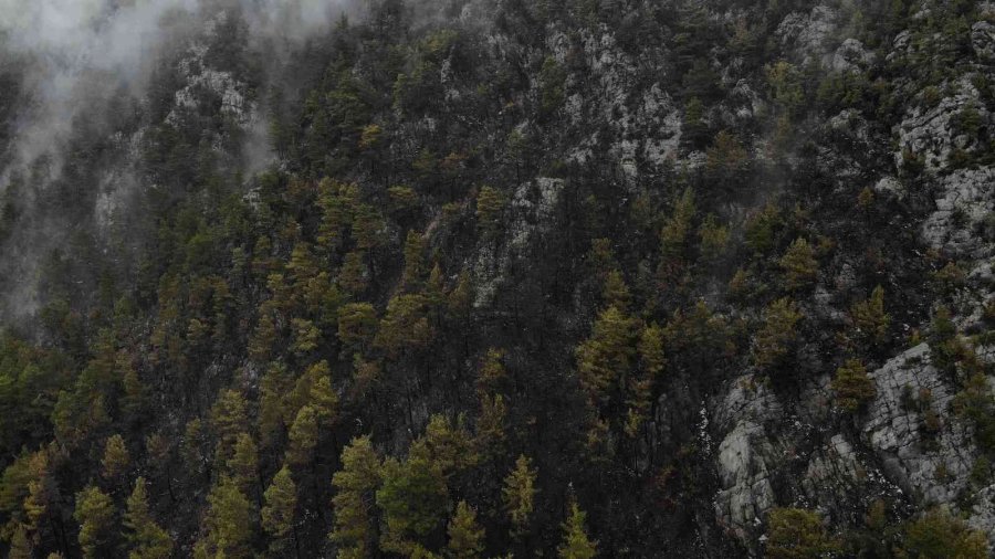 Alanya’da Yanan Ormanlık Alan Havadan Görüntülendi