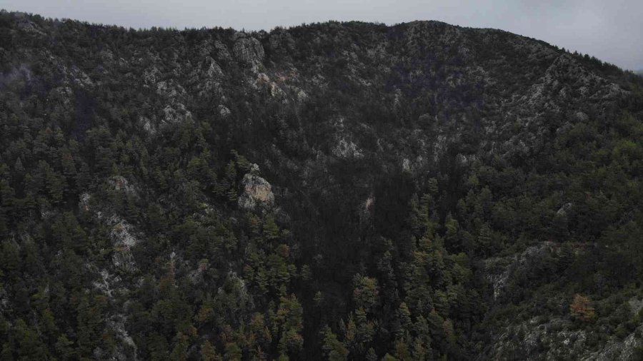 Alanya’da Yanan Ormanlık Alan Havadan Görüntülendi
