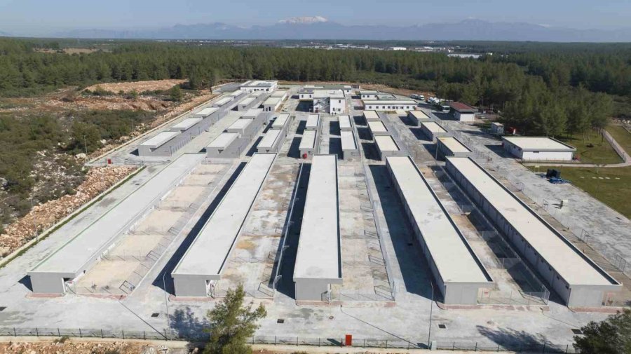 Antalya’da Can Dostlar Yeni Yuvalarına Kavuştu